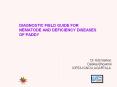 DIAGNOSTIC FIELD GUIDE FOR NEMATODE AND DEFICIENCY DISEASES OF PADDY PowerPoint PPT Presentation