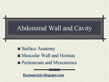 Abdominal Wall and Cavity
