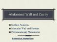 Abdominal Wall and Cavity PowerPoint PPT Presentation