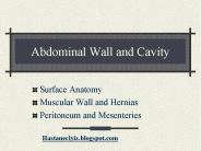 Abdominal Wall and Cavity