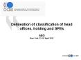 Delineation of classification of head offices, holding and SPEs  AEG New York, 23 -25 April 2012 PowerPoint PPT Presentation