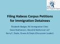Filing Habeas Corpus Petitions for Immigration Detainees PowerPoint PPT Presentation
