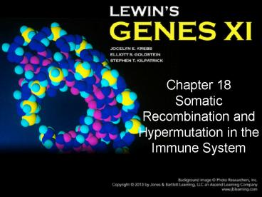 Chapter 18 Somatic Recombination and Hypermutation in the Immune System