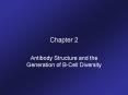 Antibody Structure and the Generation of B-Cell Diversity PowerPoint PPT Presentation