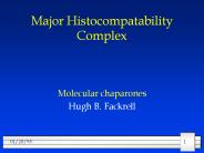 Major Histocompatability Complex