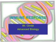 IMMUNE RESPONSE