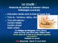 Le coude : Anatomie de surface et examen clinique Pathologies courantes PowerPoint PPT Presentation
