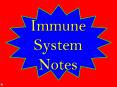 PowerPoint Presentation  -  Immune System Notes PowerPoint PPT Presentation