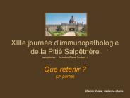 XIIIe journ