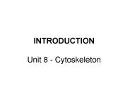 Unit 8 - Cytoskeleton