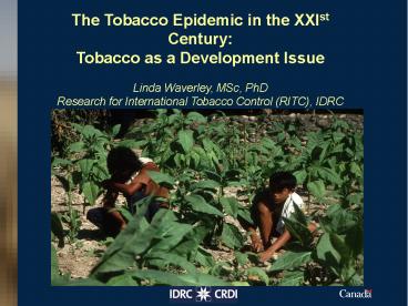 The Tobacco Epidemic in the XXIst Century: Tobacco as a Development Issue Linda Waverley, MSc, PhD Research for International Tobacco Control (RITC), IDRC