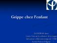 Grippe chez l PowerPoint PPT Presentation