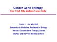 Cancer Gene Therapy One T Cell Kills Multiple Tumor Cells PowerPoint PPT Presentation