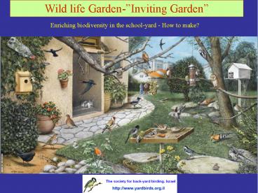 Wild life Garden-