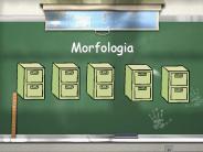 Morfologia
