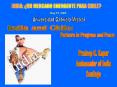 Focus Chile: India PowerPoint PPT Presentation