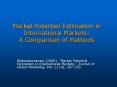 Market Potential Estimation in International Markets: A Comparison of Methods PowerPoint PPT Presentation