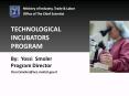TECHNOLOGICAL INCUBATORS PROGRAM PowerPoint PPT Presentation
