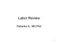 Labor Review PowerPoint PPT Presentation