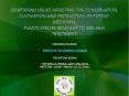 IDENTIFYING ISSUES AFFECTING THE CONSERVATION, CULTIVATION AND PRODUCTION OF POTENT MEDICINAL PLANTS SPECIES RELEVANT TO MALARIA TREATMENT PowerPoint PPT Presentation