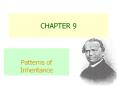 Patterns of Inheritance PowerPoint PPT Presentation