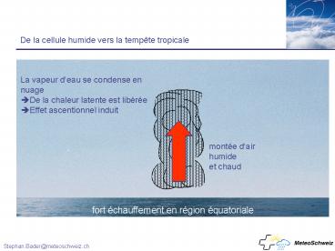 De la cellule humide vers la temp
