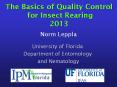The Basics of Quality Control for Insect Rearing 2013 PowerPoint PPT Presentation
