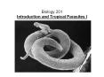 Biology 201 Introduction and Tropical Parasites I PowerPoint PPT Presentation