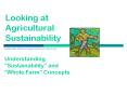 Looking at Agricultural Sustainability PowerPoint PPT Presentation