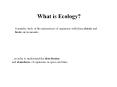 What is Ecology? PowerPoint PPT Presentation