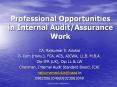 Professional Opportunities in Internal Audit/Assurance Work PowerPoint PPT Presentation