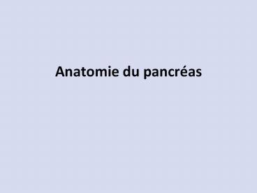 Anatomie du pancr