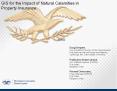 GIS for the Impact of Natural Calamities in PowerPoint PPT Presentation