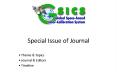 Special Issue of Journal PowerPoint PPT Presentation