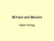 Mitosis and Meiosis
