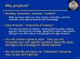 Why projects? PowerPoint PPT Presentation
