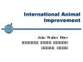 International Animal Improvement PowerPoint PPT Presentation