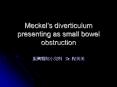 Meckel PowerPoint PPT Presentation