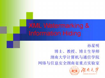 XML Watermarking