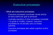 Executive processes