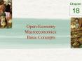 Open-Economy Macroeconomics: Basic Concepts PowerPoint PPT Presentation