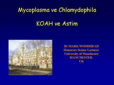 Mycoplasma ve Chlamydophila