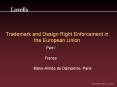 Trademark and Design Right Enforcement in the European Union PowerPoint PPT Presentation