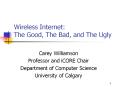 Wireless Internet: The Good, The Bad, and The Ugly PowerPoint PPT Presentation