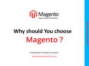 Why you choose Magento as your ecommerce platform?