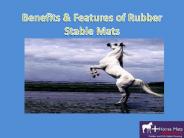 Benefits & Features of Rubber Stable Mats