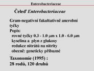 Bez nadpisu