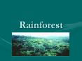 Rainforest PowerPoint PPT Presentation
