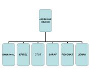 JARINGAN EMBRIONAL