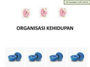 ORGANISASI KEHIDUPAN